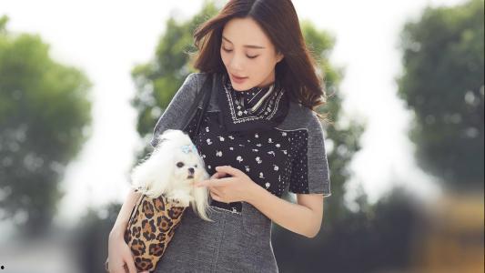 娱乐吃瓜李小露是谁,李小露的真实身份大起底